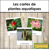 French - Aquatic and Wetland Plants - Les cartes de plante