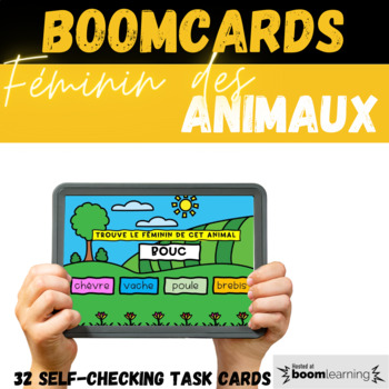 Preview of French BOOM CARDS féminin irrégulier animaux FLE 