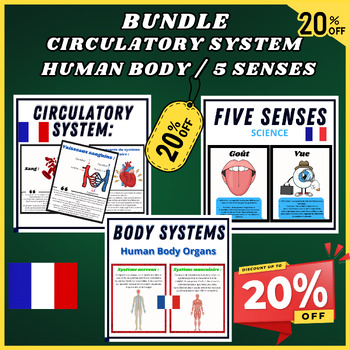 Preview of French Big Bundle, Circulatory System -Human Body Organs Facts,Five senses Facts