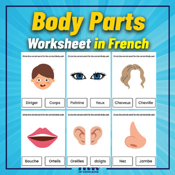 French Body Parts Worksheet. Printable posters for kids in Prek and kinder.
