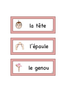 Preview of French Body WORD WALL