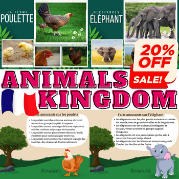 Preview of French Bundle : Facts and Real Life Photos For 4 Types of Animal Kingdom - Vol 1