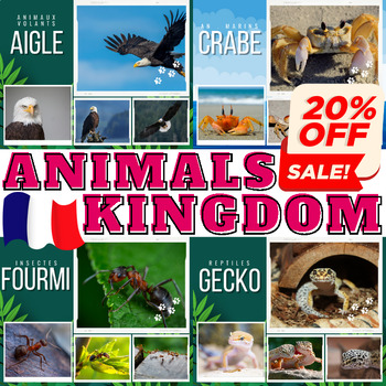 Preview of French Bundle : Real Life Photos For 4 Types of Animal Kingdom - Vol 2