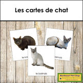 French - Cats - Les cartes de chat