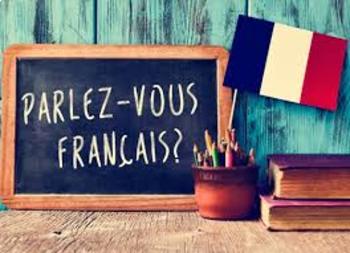 Preview of French Crash Course for Beginning of Year (AVOIR, ETRE, LES PHRASES, ET PLUS!)