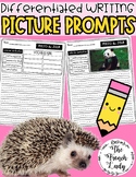 French Differentiated PICTURE Writing Prompts Opinion, Inf