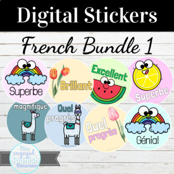 Preview of French Digital Sticker Bundle #1 76 Stickers