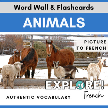 Preview of French | EDITABLE Animals Word Wall & Vocabulary Flashcards