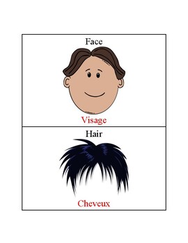 Preview of French/English Parts of the Face