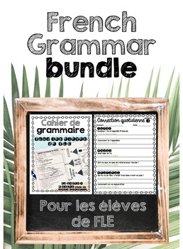 Preview of French FLE Grammar Bundle (With Google Slides for Distance Learning)