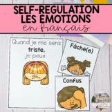 French Feelings and Emotions: Posters and Self Regulation 