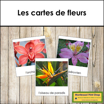Preview of French - Flowers (Set #2) - Les cartes de fleurs