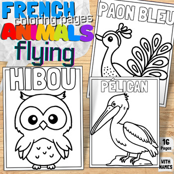 Preview of French Flying Animal Labels Printable Coloring Pages | Sky & Cloud Color Book
