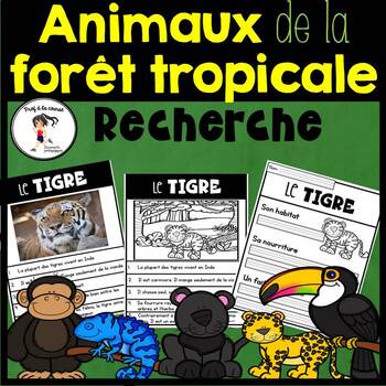 Preview of French Forest Animal Research | Recherche Animaux de la forêt tropicale
