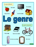 French Gender (Clues to Determine the Gender of French Nouns)