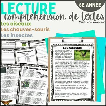 Preview of French Grade 6 Reading Comprehension #2 - Lecture 6e: Compréhension de textes
