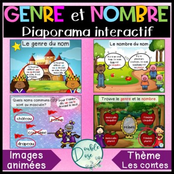 Preview of French Grammar | Genre et nombre des noms - Leçon de grammaire / TNI