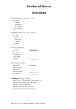 Preview of French Grammar Nouns 1: Gender of Nouns Exercise (Revision separate)