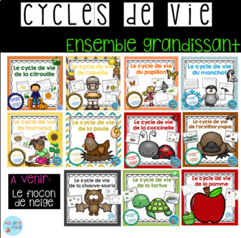 Preview of French Growing BUNDLE Life cycles / Cycles de vie {Ensemble grandissant}