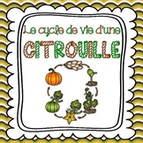 French Fall Activity (L'automne - Cycle de vie d'une citrouille)