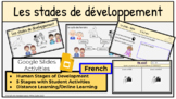 French Health - Human development - 5 stages - Cycle of hu