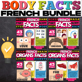 Preview of French Humain Body Fact Cards Bundle : 4 groups of 16 Main Parts and Organs