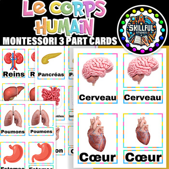 Preview of French Human Body Montessori 3 Part Cards| Le Corps Humain cards Posters