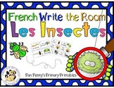French Insect Write the Room- les insectes