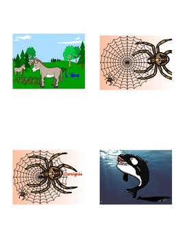 Preview of French Interactive Notebook: 'Mammifères, reptiles, insectes et arachnides’