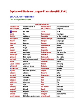 Preview of French Language DELF A1  Vocabulary, adjectives, verbs, connectors