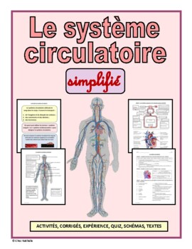 Preview of French: "Le système circulatoire simplifié"