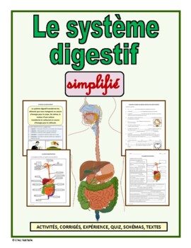 Preview of French: "Le système digestif simplifié"