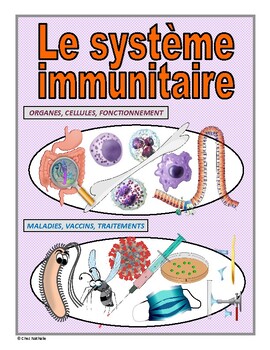 Preview of French: "Le système immunitaire"