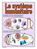 French: "Le système immunitaire"