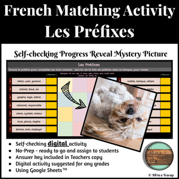 Preview of French Les Prefixes Digital Matching Activity Mystery Picture