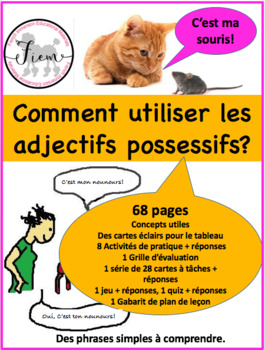 Preview of French: Les adjectifs possessifs, 68 pages