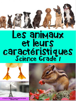 Preview of French: Les animaux, caractéristiques et classification Vocabulaire, Activités
