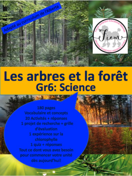 Preview of French: Les arbres et la forêt, Gr.6, Science, 180 slides