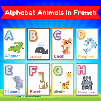 French Letters, Numbers, Colors & Shapes Flash Cards BUNDLE. | TPT