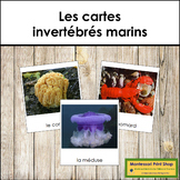 French - Marine Invertebrates - Les cartes invertébrés marins