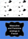 French  Masculine and Feminine Ending Posters