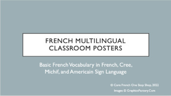 Preview of French Multilingual Classroom Posters/Flashcards