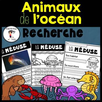 Preview of French Ocean Animal Research | Recherche Animaux de l'océan