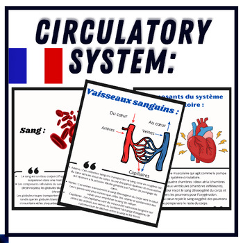 Preview of French Parts and Functions of the Circulatory System - Reading, Printable