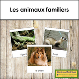 French - Pets - Les animaux familiers