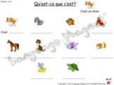 French Pets Activity Sheets