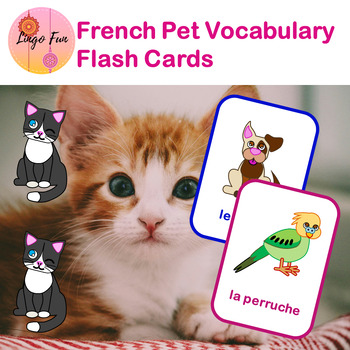 Preview of French Pets Vocabulary Flash Cards