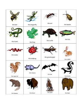 French Pets and Forest Animals Flash Cards by Bryan Whitney | TPT