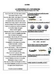 French Poem - worksheet and answer key