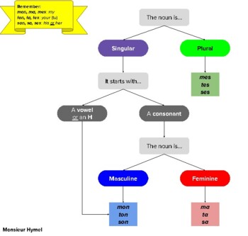 Preview of French possessive adjective flowcharts